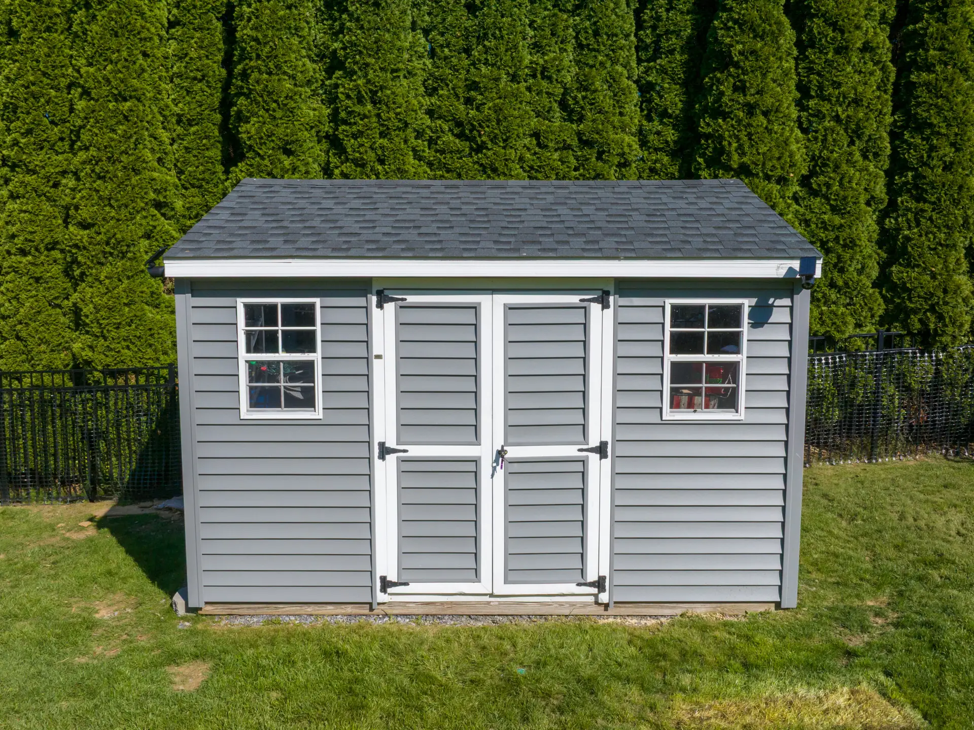 Gray shed with white-trimmed double doors and two windows, set in a sunny backyard with a tall evergreen hedge behind it.